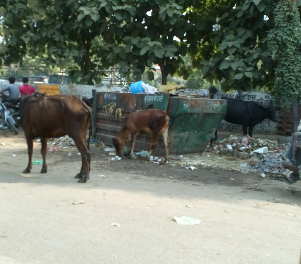 Varanasi Cleanliness record dismal